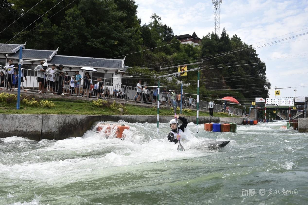 AA, 流回旋赛场, entit AA, 流回旋赛场, entit