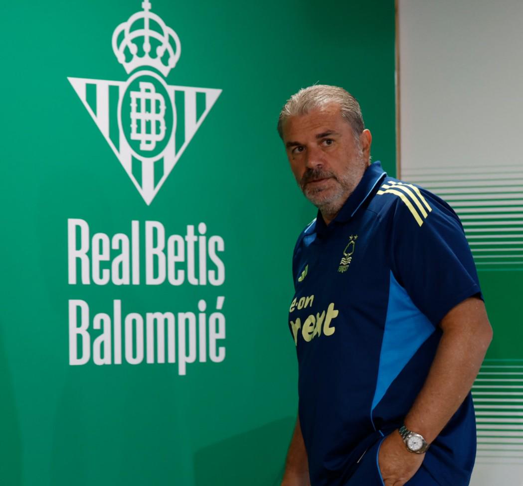 汉森林球迷, 据统计, 去争取