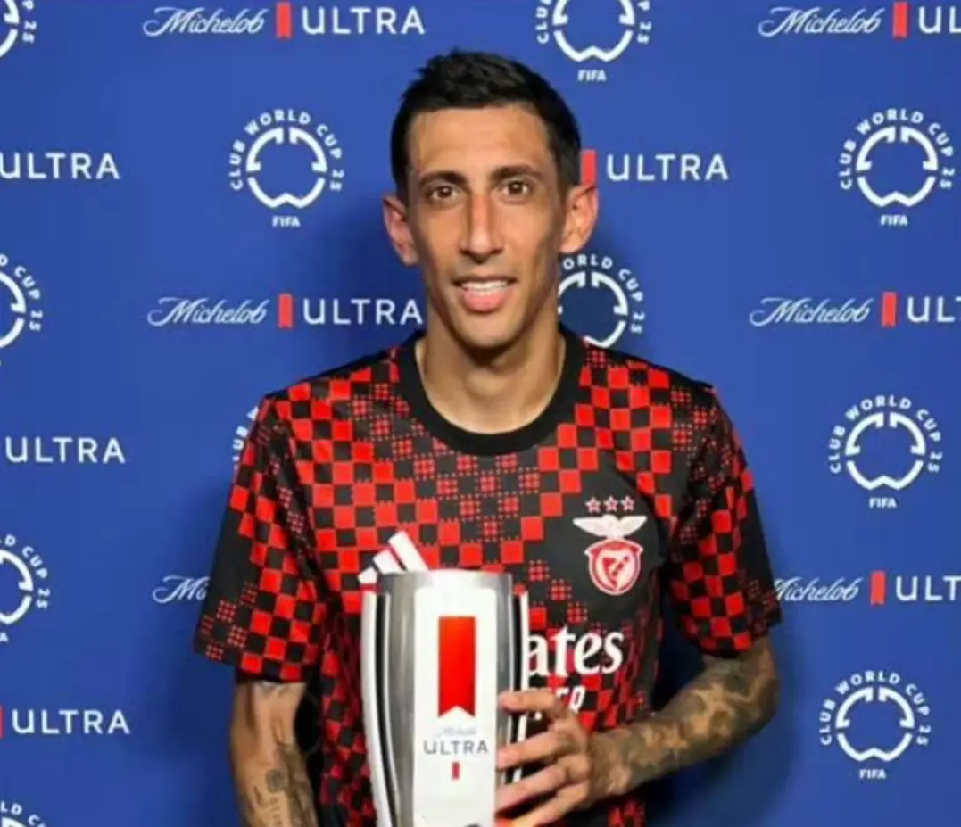 吉尔维森特 吉尔维森特