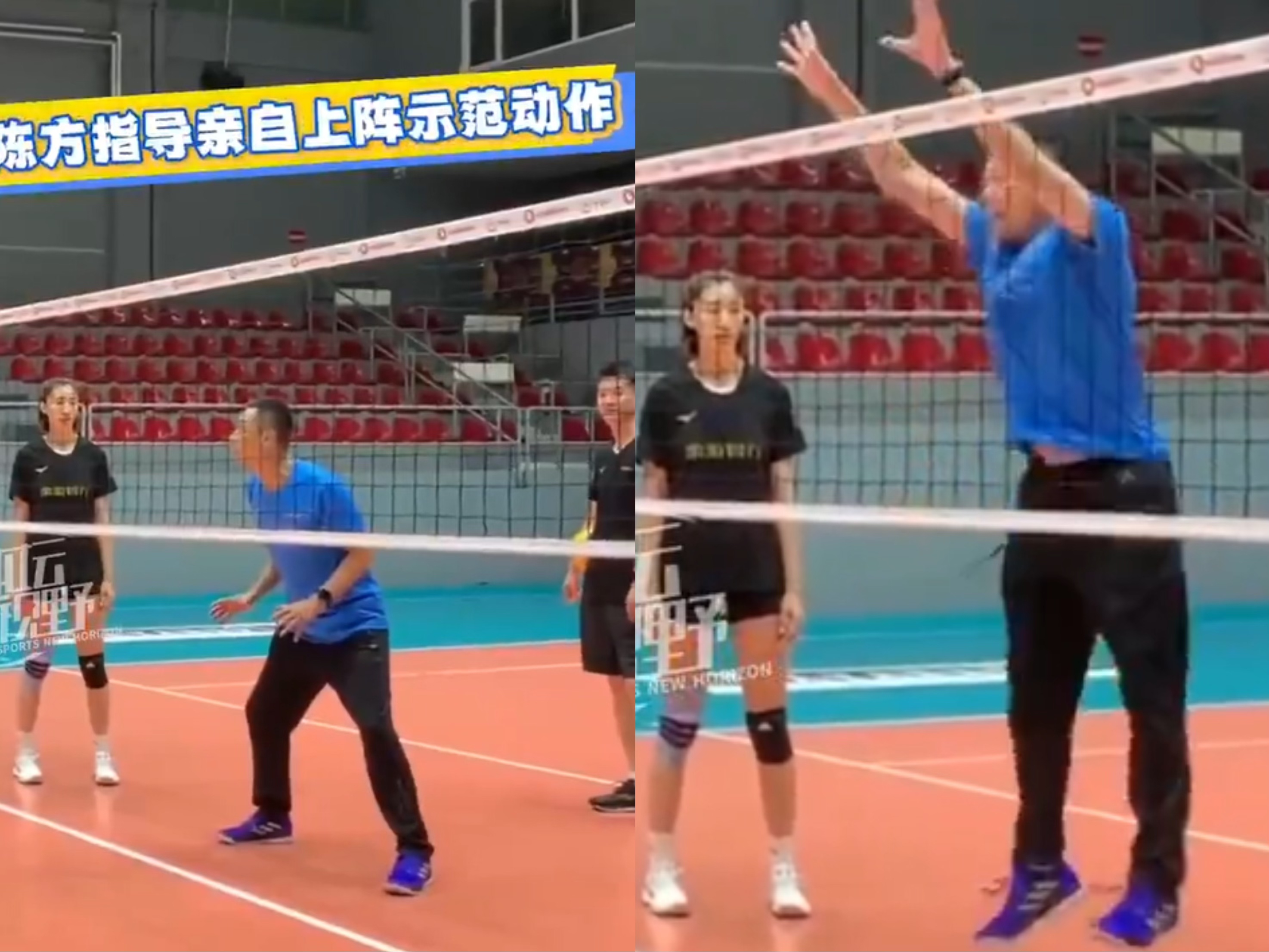 陈方指导王 陈方指导王